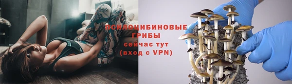 скорость Балахна
