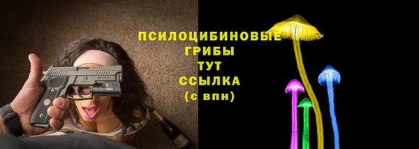гидра Баксан