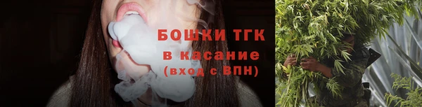 гидра Баксан